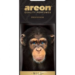 Areon Wild - Professor
